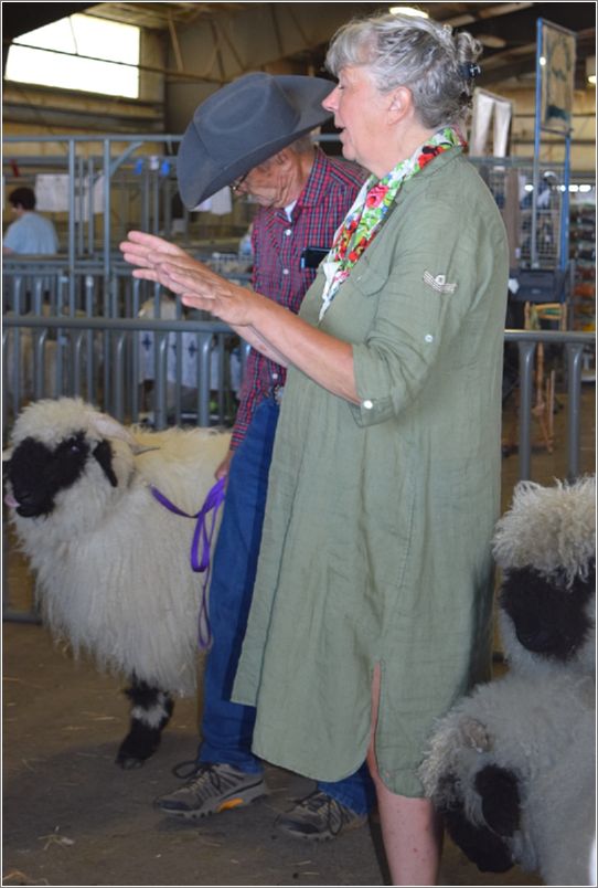  Valais Blacknose judge, Maria Taunji, giving a workshop; Martin Dally to her right. Photo: Peggy Lundquist.